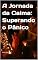 Livro A Jornada da Calma: Superando o Pânico