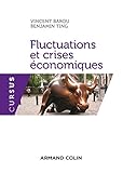 Fluctuations et crises économiques by