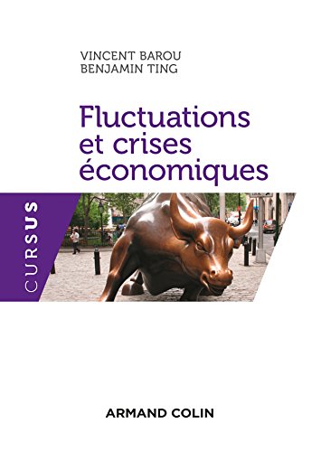 Fluctuations et crises économiques by Vincent Barou, Benjamin Ting