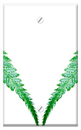 Single-Gang Blank Wall Plate Cover - Leaf Plant Nature Isolated Growth Fiddlehead Fern