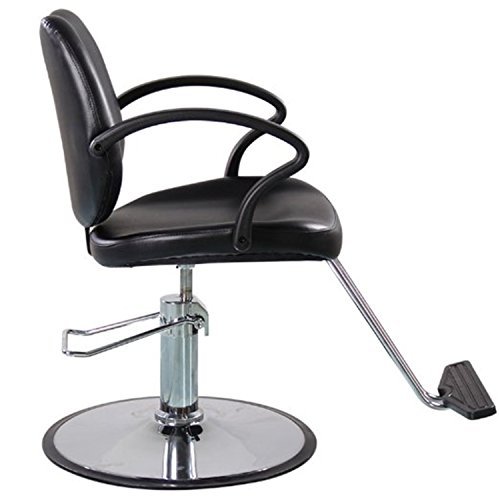 shengyu Barber Styling Chair Salon Equipment (Black)
