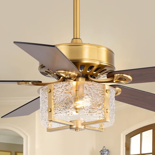 Breezary Modern Farmhouse Ceiling Fan Lights Remote