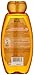 Garnier Whole Blends Shampoo with Moroccan Argan & Camellia Oils Extracts, 12.5 Fl Oz (Pack of 1)