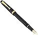 Pilot Fontain Pen Custom 74, M-Nib, Dark Blue Body (FKK-1000R-DL-M)
