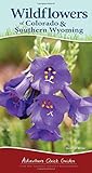 Wildflowers of Colorado & Southern Wyoming: Your Way to Easily Identify Wildflowers (Adventure Quick Guides) by George Miller