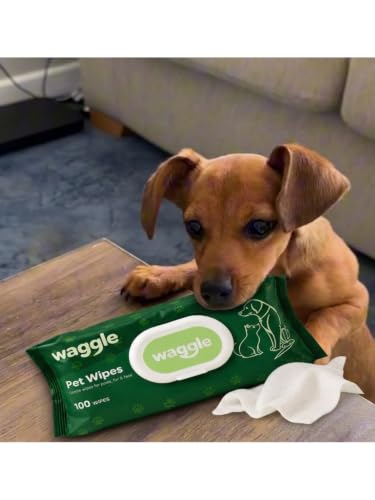 Waggle Pet Wipes for Paws, Fur and Face, Gentle and Alcohol-Free, 100 Wipes | Dog & Cat Wipes, Pet Wipes