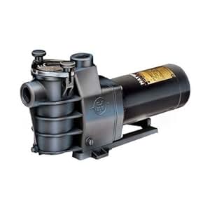 Amazon.com : Hayward SP2815X20 2 HP Standard Efficient