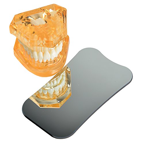 AZDENT Dental Intraoral Mirrors Photography 2 Sided Rhodium Glass Mirror Occlusal XL - Thumbnail 2