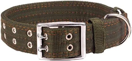 tough dog collars