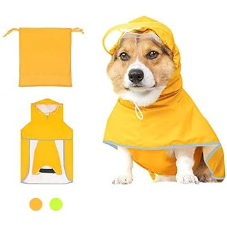 Amazon Best Sellers: Best Dog Raincoats