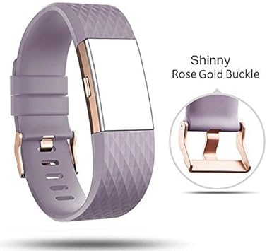 DB - Correa para Fitbit Charge 2, bandas hebilla de oro rosa