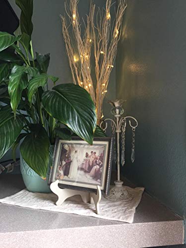 Lightshare 36inch 16led Natural Willow Twig Lighted Branch For