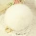 WannaBi Gold Plated Keychain Cute Fur Ball Pom Pom Keychain for Car Key Ring Handbag Tote Bag Pendant Charm