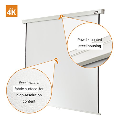 manual-Professional-screen