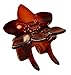 Parcelona French Clove Flower 4 Teeth Celluloid Acetate Made in France Covered Spring Tortoise Shell Brown Pony Holder Hair Claw - 2 Inch