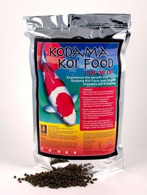 kodama koi supply