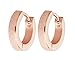 1 Pairs Body/Cartilage/Nose/Lips Stainless Steel Small Hoop Huggie Hinge Earrings (Rose Gold)
