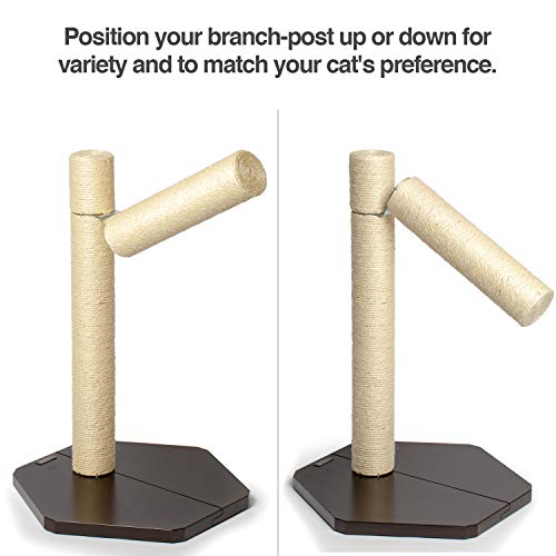 PetFusion BranchOut Cat Scratching Post. Tall Vertical Post with