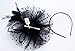 Czioe Flower Cocktail Tea Party Headwear Feather Fascinators Top Hat for Girls and Women (1-a-black)