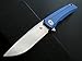 Eafegrow CH3002-G10 Folding Camping Knives 3.7 inch D2 Blade and G10 Handle Pocket Knives Outdoor Hunting Knife Tactical Folding Knives (blue)