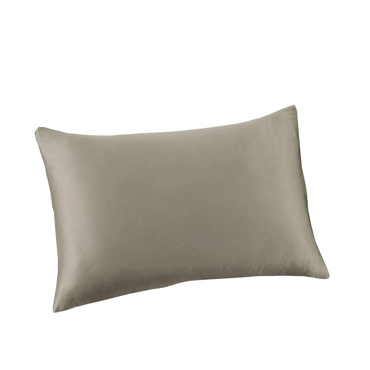 Brit Cotton TC 400 Thread Count l 100% Egyptian Cotton l Gentle and Soft Pillow Cases Pair Pack Covers (Grey Pillowcase)