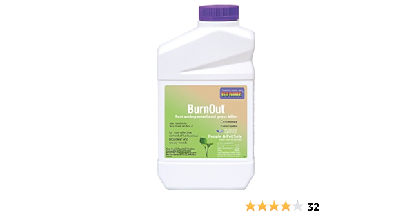 Amazon Com Bonide Burnout Weed Grass Killer Concentrate Qt Patio Lawn Garden