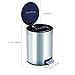 8 Liter/2.2 Gallon Stainless Steel Round Step Trash Can, Brushed Stainless Steel Trash Bin with Plastic Lid (silvery)