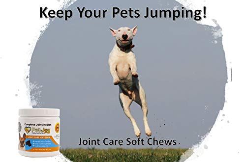 PetJoy Complete Hip and Joint Care Health Daily Soft Chews Key Ingredients Glucosamine HCI, MSM, Chondroitin Sulfate to Repair and Restore Hip and Joint Tissue - Thumbnail 3