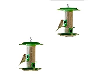 Amijivdaya Medium Bird Feeder With Hut Transparent Green Pack
