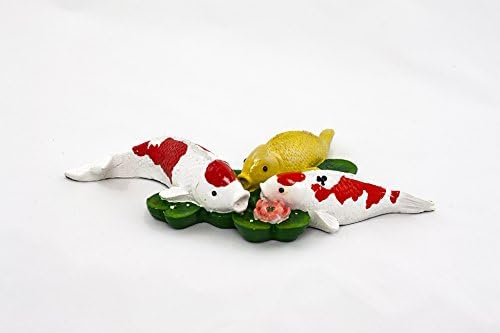 Feeding Koi Carp Pond Floater, 9"