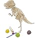Miscy 3d Puzzle Arts Projects Craft Wood 3d Puzzles for Kids Ages 6-8 &up Assemble Paint DIY Animal Crafts T-Rex Dinosaurs