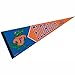 WinCraft Florida Gators Official NCAA 12 inch x 30 inch Premium Pennant by 991201