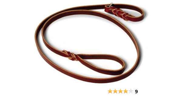 leather slip leash