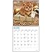 2020 Kittens Wall Calendar by Bright Day, 16 Month 12 x 12 Inch, Cute Cat Kitty Animals Feline