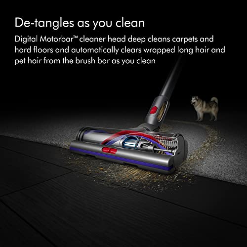 Dyson V15 Detect Cordless Vacuum Cleaner Pricepulse