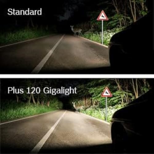 H7 Plus 120 Gigalight Ampoule de Phare Halogène, 12 V 55 W, Faisceau Lumineux 120% plus Long - Culot PX26d - Pack de 2 Ampoules de Rechange pour Voiture