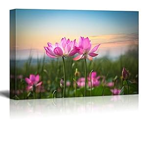 Pink Lotus Flowers Looking Over The Sunset - Canvas Art Home Art - 12x18 inches