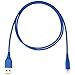 Amazon Basics MFi-Certified USB-A to Lightning Cable for Apple iPhone and iPad - 3 Feet (0.9 Meters), Blue