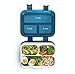 Bento Children's Lunch Box for Elementary School Kids, Boys, Girls by Fenrici, Leakproof, Soup Safe, Light Weight, Microwave, Dishwasher Safe, 2 Free Sets of Utensils, 9in x 7in x 2.5in, Dark Blue