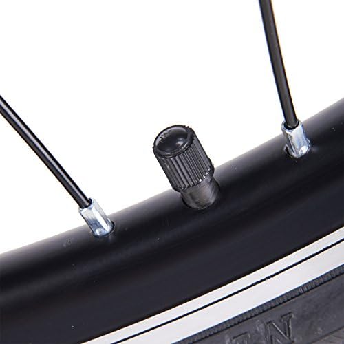 pinty electric bike kit