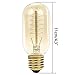 Vintage Edison Bulb 40W 110V E27 Base T45 Squirrel Cage Tubular Tungsten Filament Incandescent Light Bulb, Warm Light Dimmable Filament Bulb for Home Light Fixtures Decorative, Pack of 3