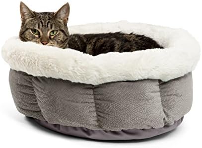 yorkshire puppy food