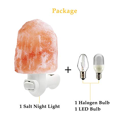 WAYNEWON Natural Himalayan Salt Lamp, Plug in Hand Carved Crystal Night