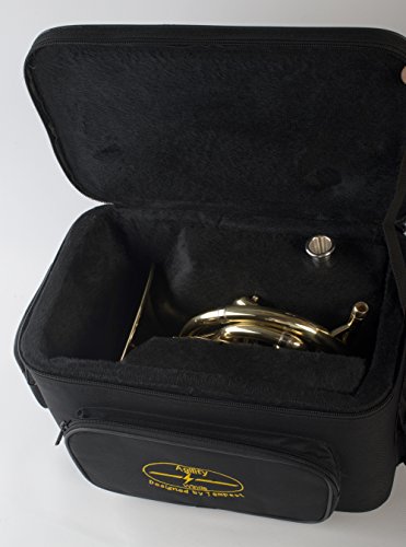 Tempest Agility Winds Mini Pocket French Horn in Bb 3 Rotary Valves Engraved Lacquered Brass with Case and Mouthpiece 5-Year Warranty