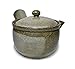 Shigaraki Pottery G5-2708 Kyusu Teapot Tsuchi no OTO Earth Color(Japan Import)