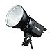 Westcott 150 300 W/S Strobelite Strobe Light