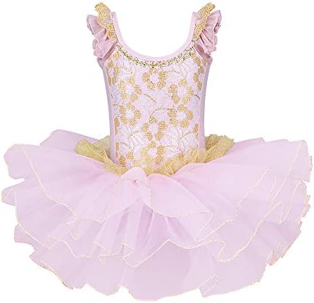 ZNYUNEGirls Ballet Dress Leotards Gymnastic Dance Tutu Skirt Dancewear Dress