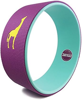 Plexus Yoga Wheel Raspberry Aqua 15" | Relieves Pain and Stress in your Back Hips Chest Shoulders | Great Back Opener | Won't Break Down like Foam Roller or Massage Roller | 5MM Extra Comfort Yoga Mat