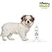 Tear Stain Remover for Dogs and Cats - Advanced Natural Formula Best for Effectively Cleaning Stains & Buildup Free of Chemicals Plus Prevents Dyed Fur - Gentle, Safe, Made in USA, 100% Guaranteed