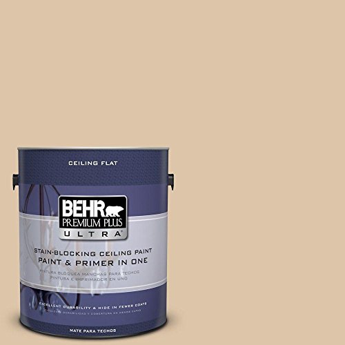 1 Gal No Ul160 8 Ceiling Tinted To Sand Motif Interior Paint